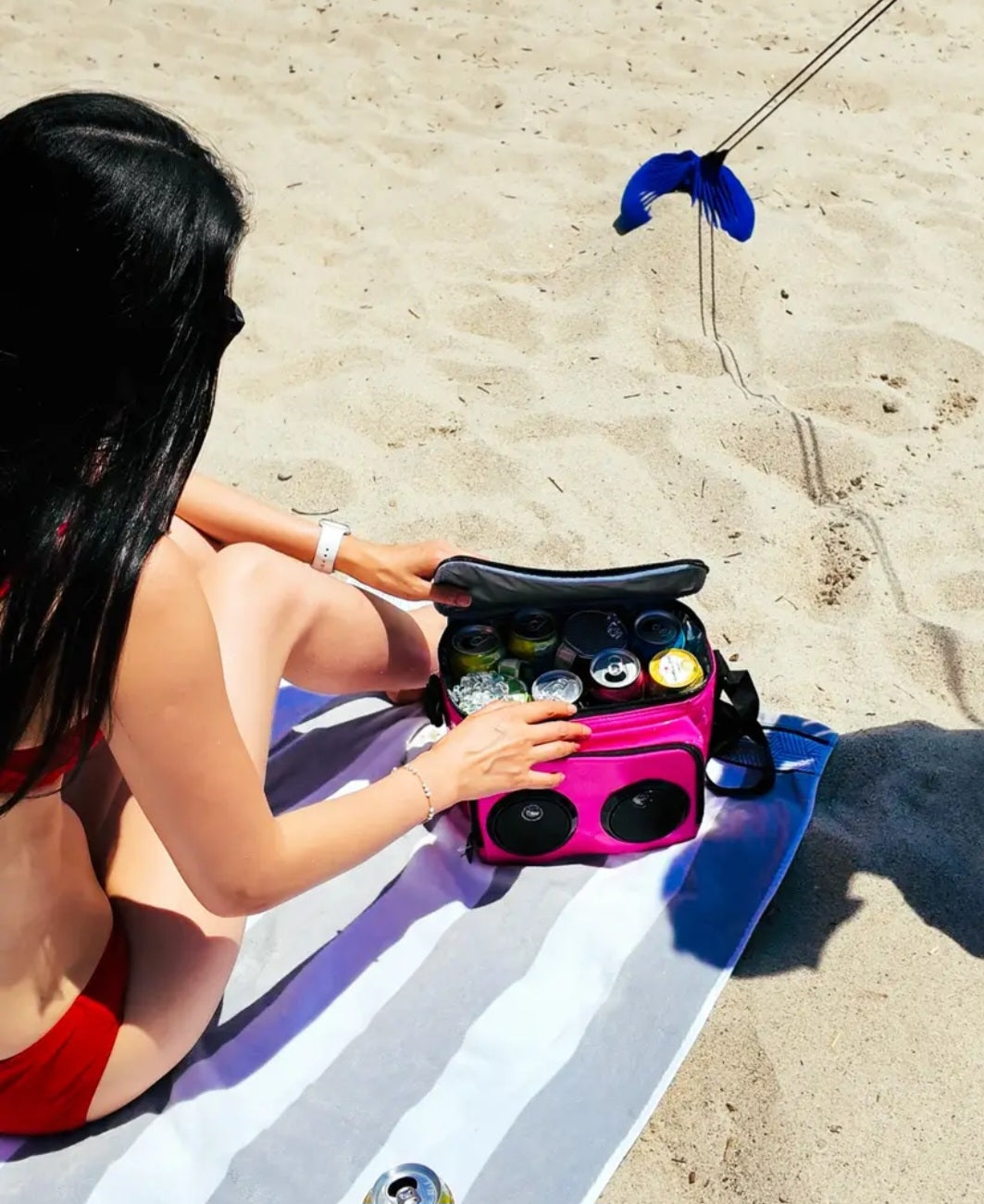 Fi-Hi Cooler Bag w/ Bluetooth Speakers